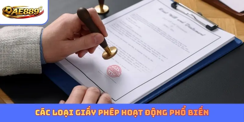 Các loại giấy phép hoạt động phổ biến