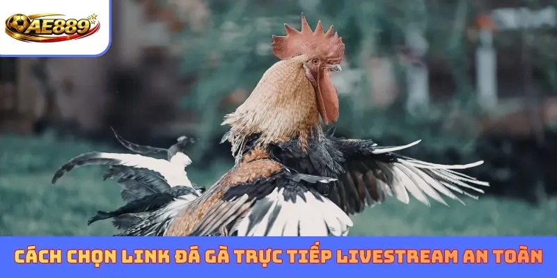 Cách chọn link Đá gà trực tiếp Livestream an toàn