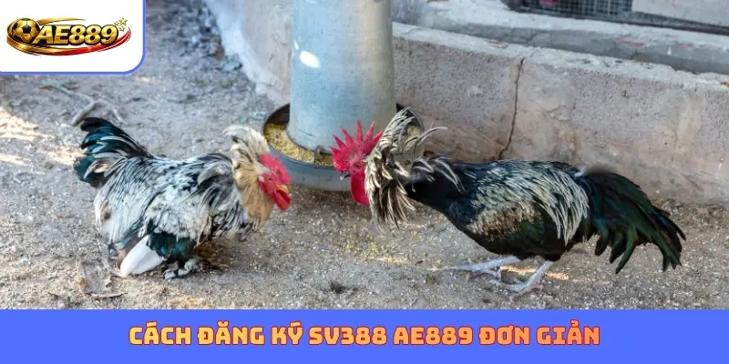 Cách đăng ký SV388 AE889 đơn giản