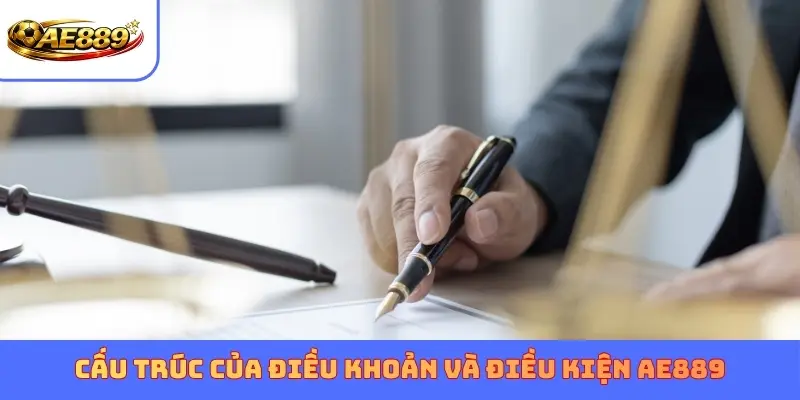 Cấu trúc của điều khoản và điều kiện AE889