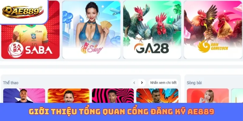 Giới thiệu tổng quan cổng đăng ký AE889