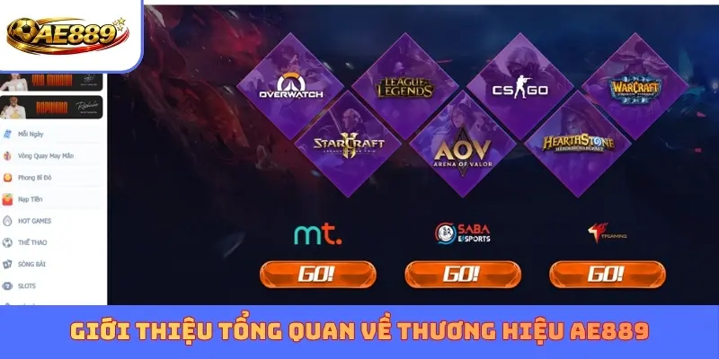 Giới thiệu tổng quan về thương hiệu AE889