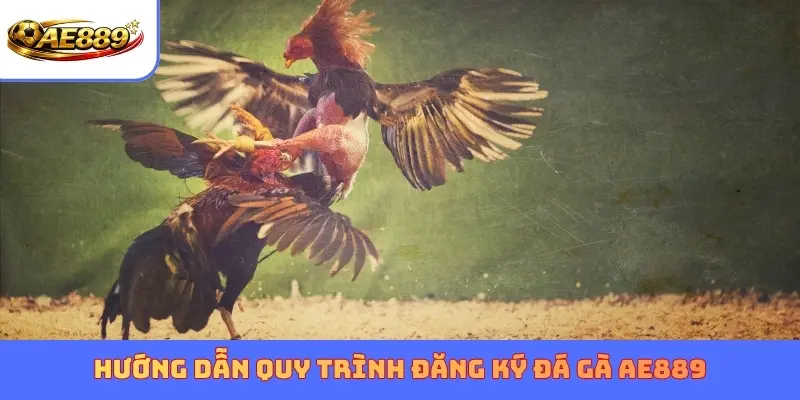 Hướng dẫn quy trình đăng ký đá gà AE889
