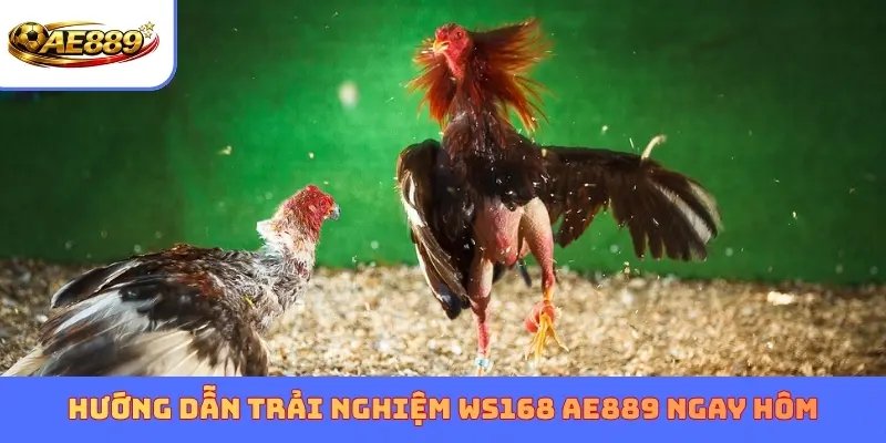 Hướng dẫn trải nghiệm WS168 AE889 ngay hôm