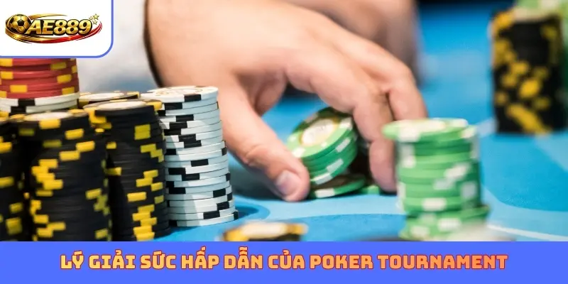 Lý giải sức hấp dẫn của Poker Tournament