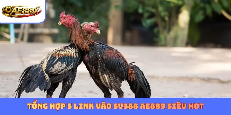 Tổng hợp 5 link vào SV388 AE889 siêu hot