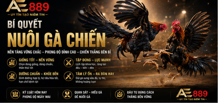 Bí Quyết Nuôi Gà Chiến