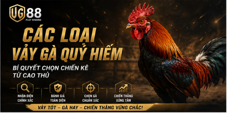 Các Loại Vảy Gà Quý Hiếm