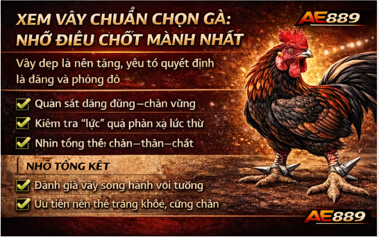 Cách xem vay gà tốt