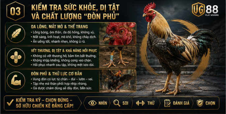 Cách chọn gà đá hay