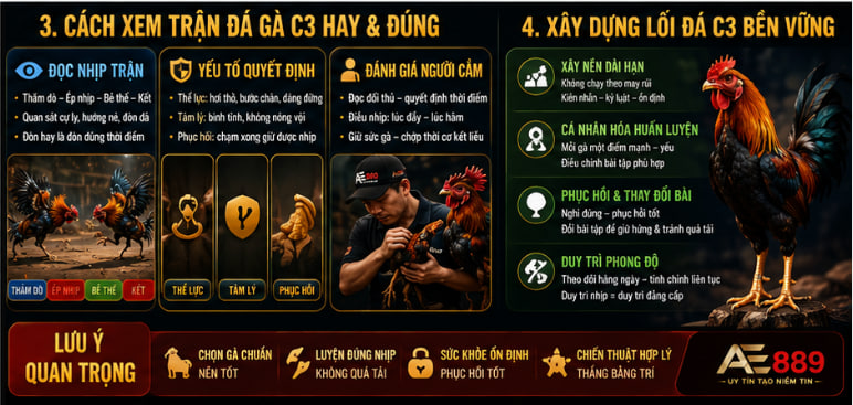 đá gà c3