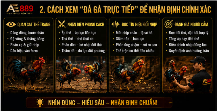 Đá Gà Trực Tiếp
