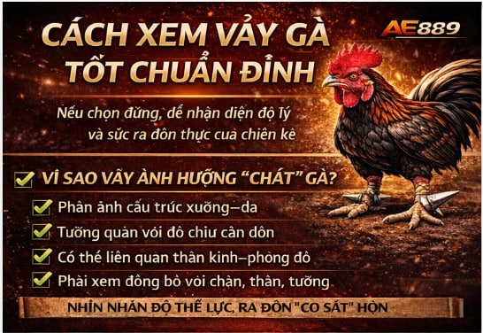 Cách Xem Vảy Gà Tố