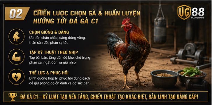 Đá gà c1
