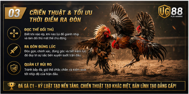 đá gà c1