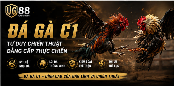 Đá Gà C1
