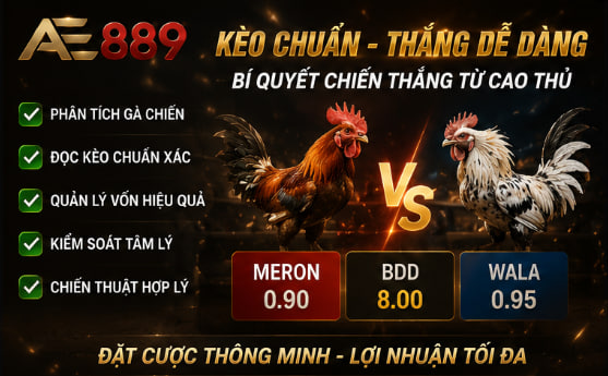 Đá gà c2
