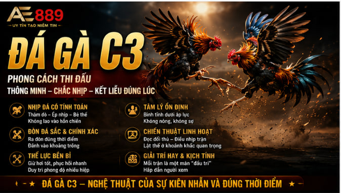 Đá Gà C3