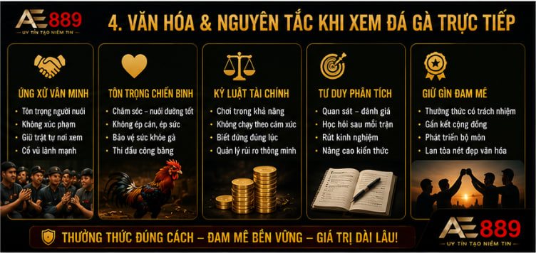 Đá gà trực tiếp