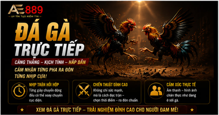 Đá Gà Trực Tiếp