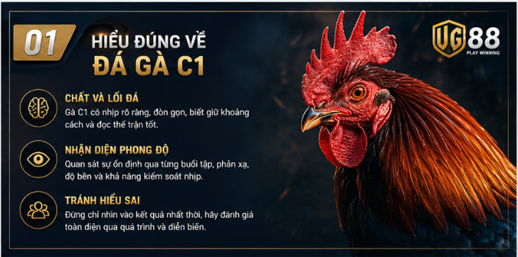 đá gà c1