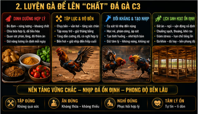 đá gà c3