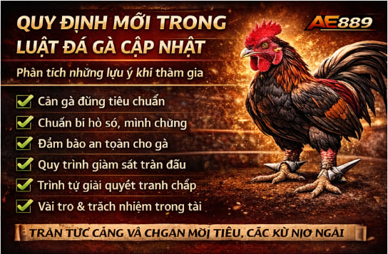 luật đá gà mới nhất