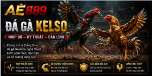 Đá Gà Kelso