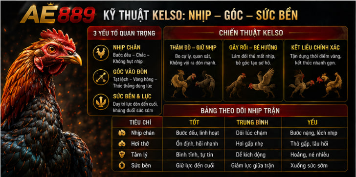 Đá gà kelso