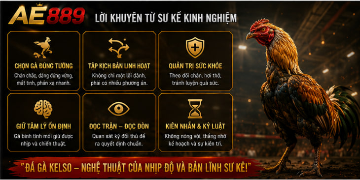 Đá gà kelso